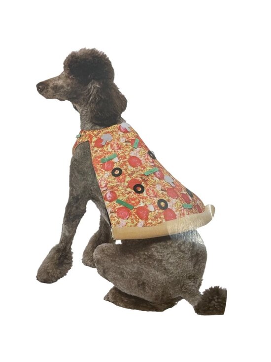 Vibrant Life Other - Dog Halloween Pizza Costume Sz Medium Slice w Pepperoni Olives Cheese Adjustable